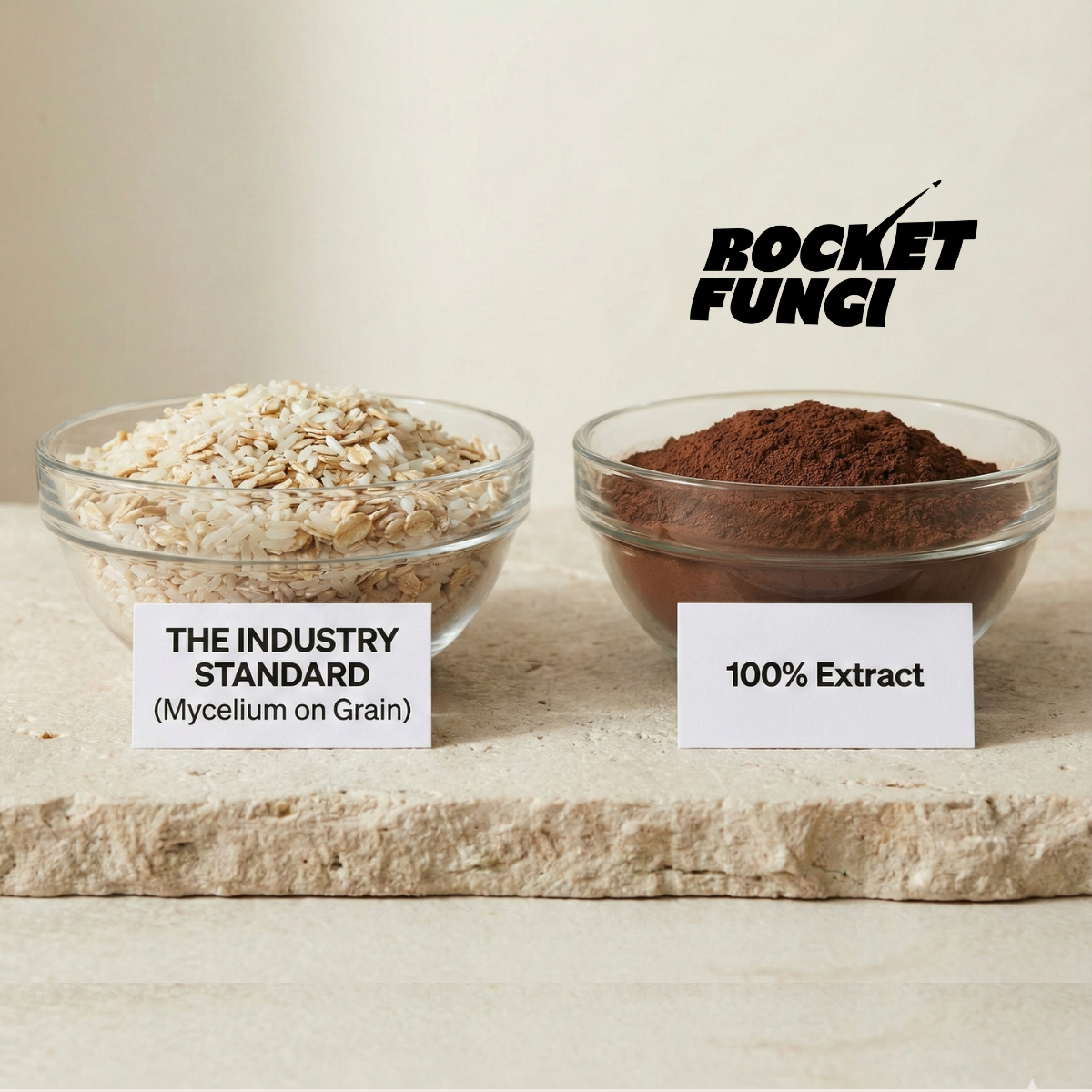 Mushroom Extract vs. Powder: The Truth Behind Your Supplement