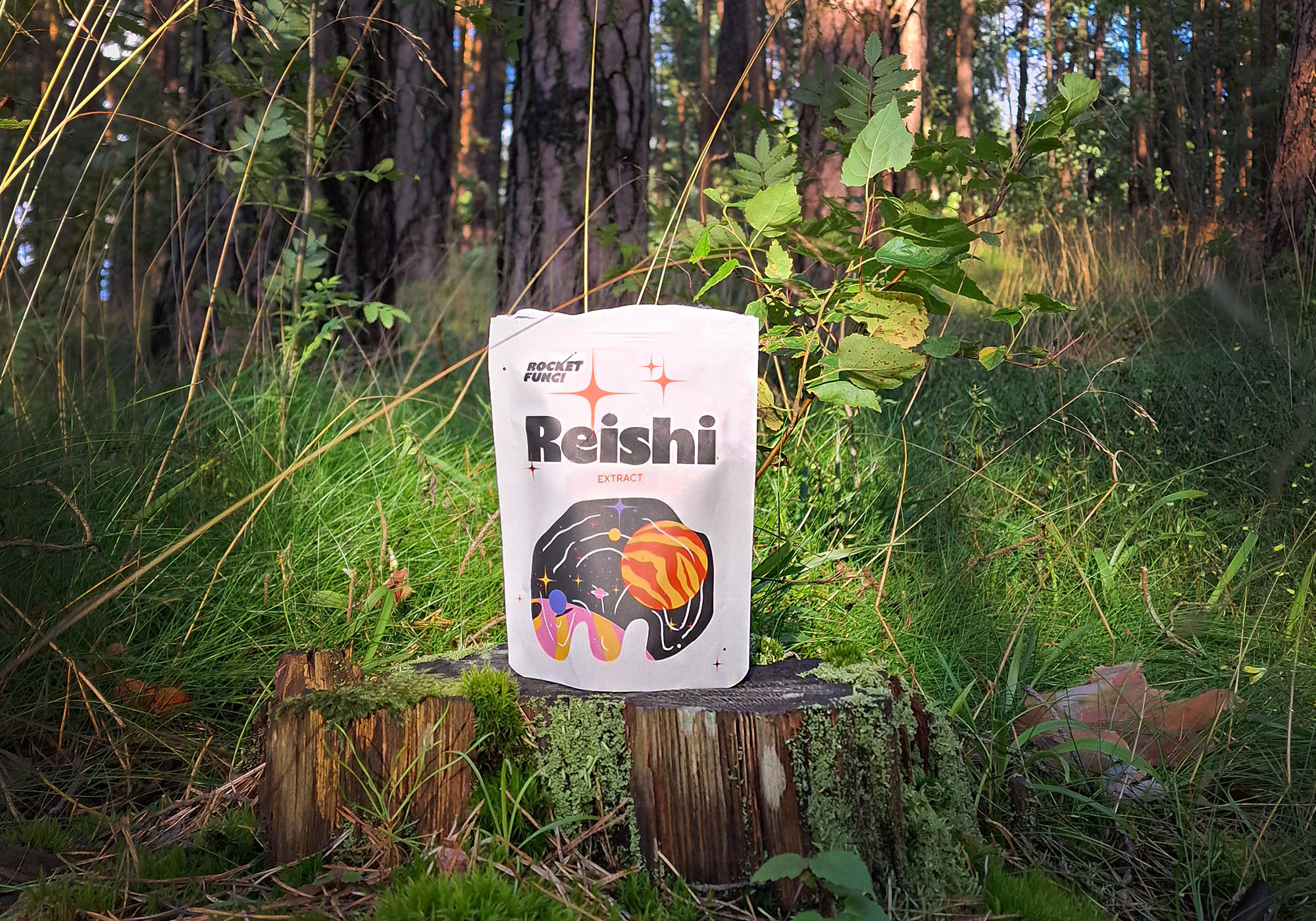 Rocket_Fungi_Reishi_nature