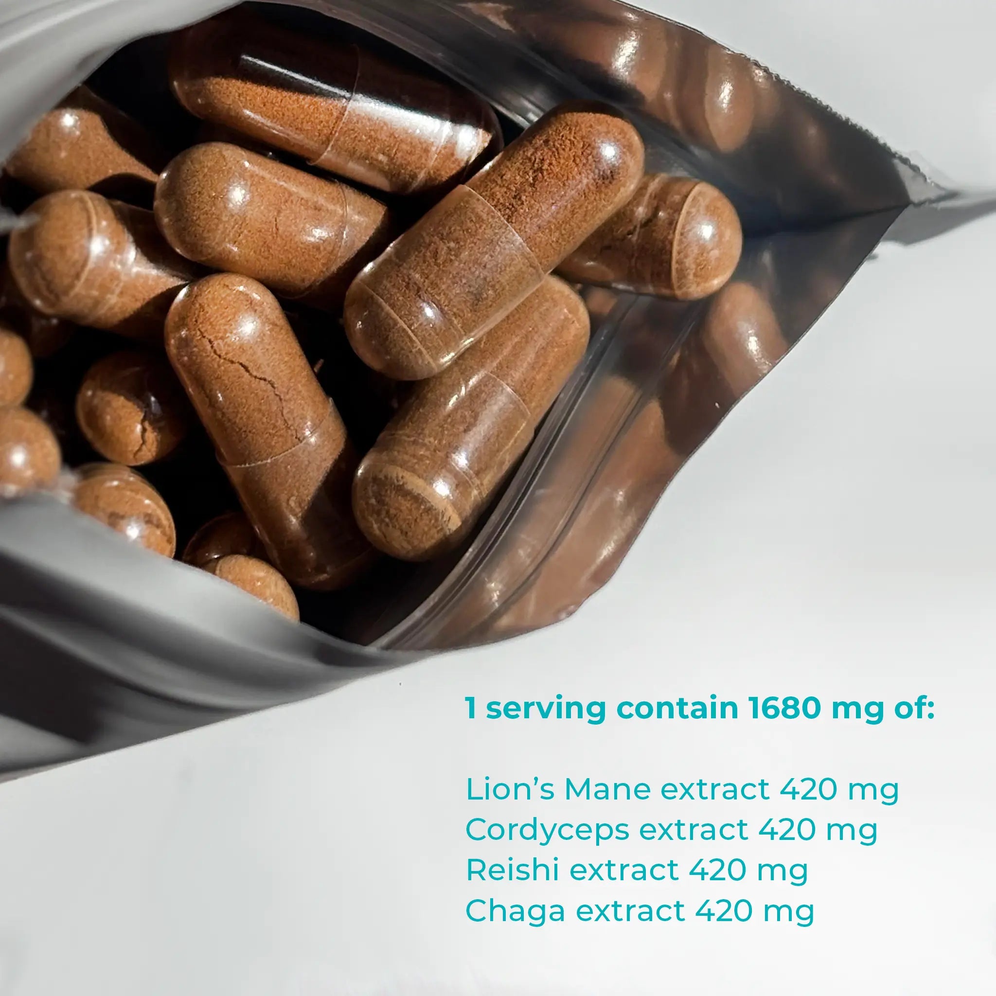 High-potency multi-mushroom extract capsules for total body optimization