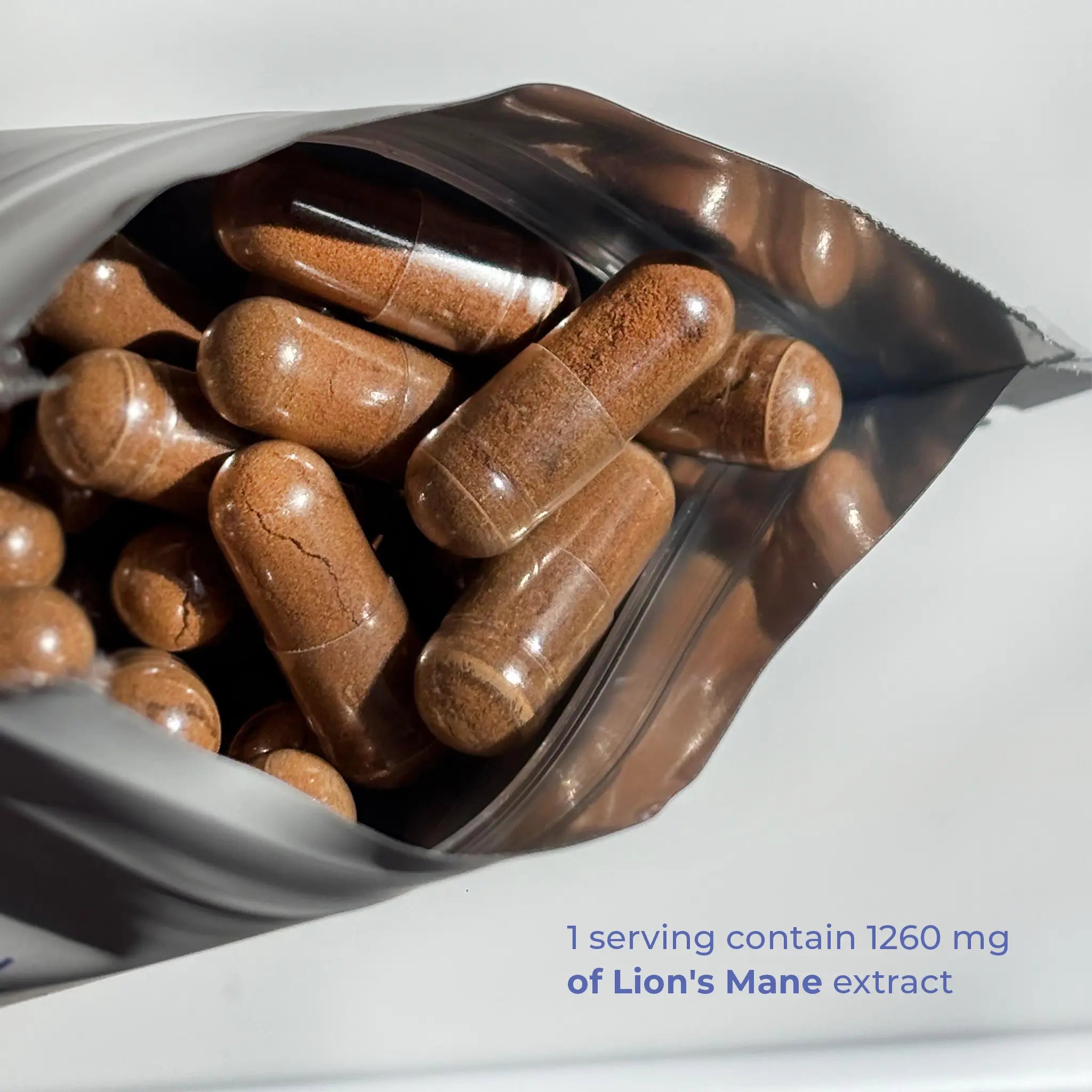 Lion's Mane | Focus Fuel My Store
