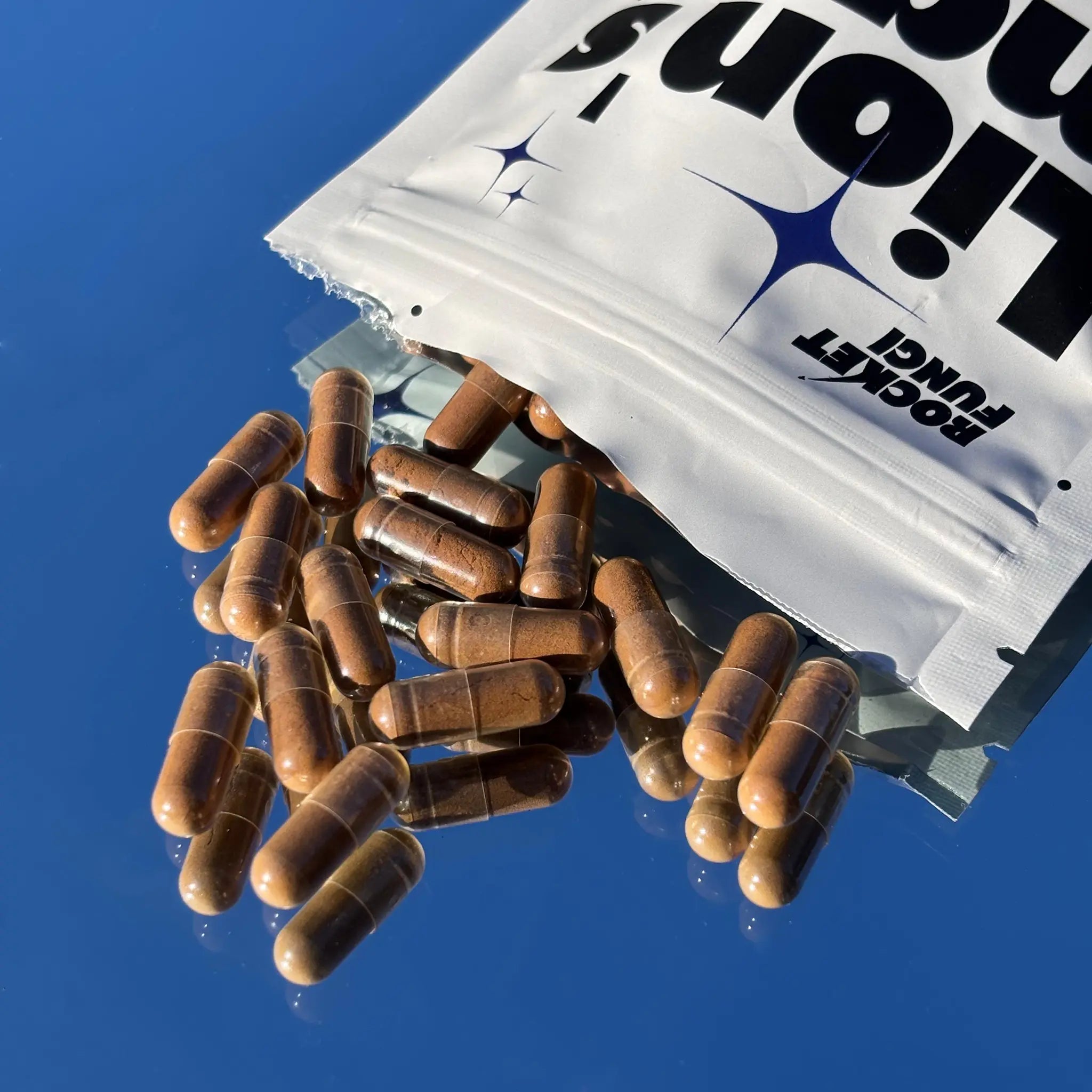 Lion's Mane | Focus Fuel My Store