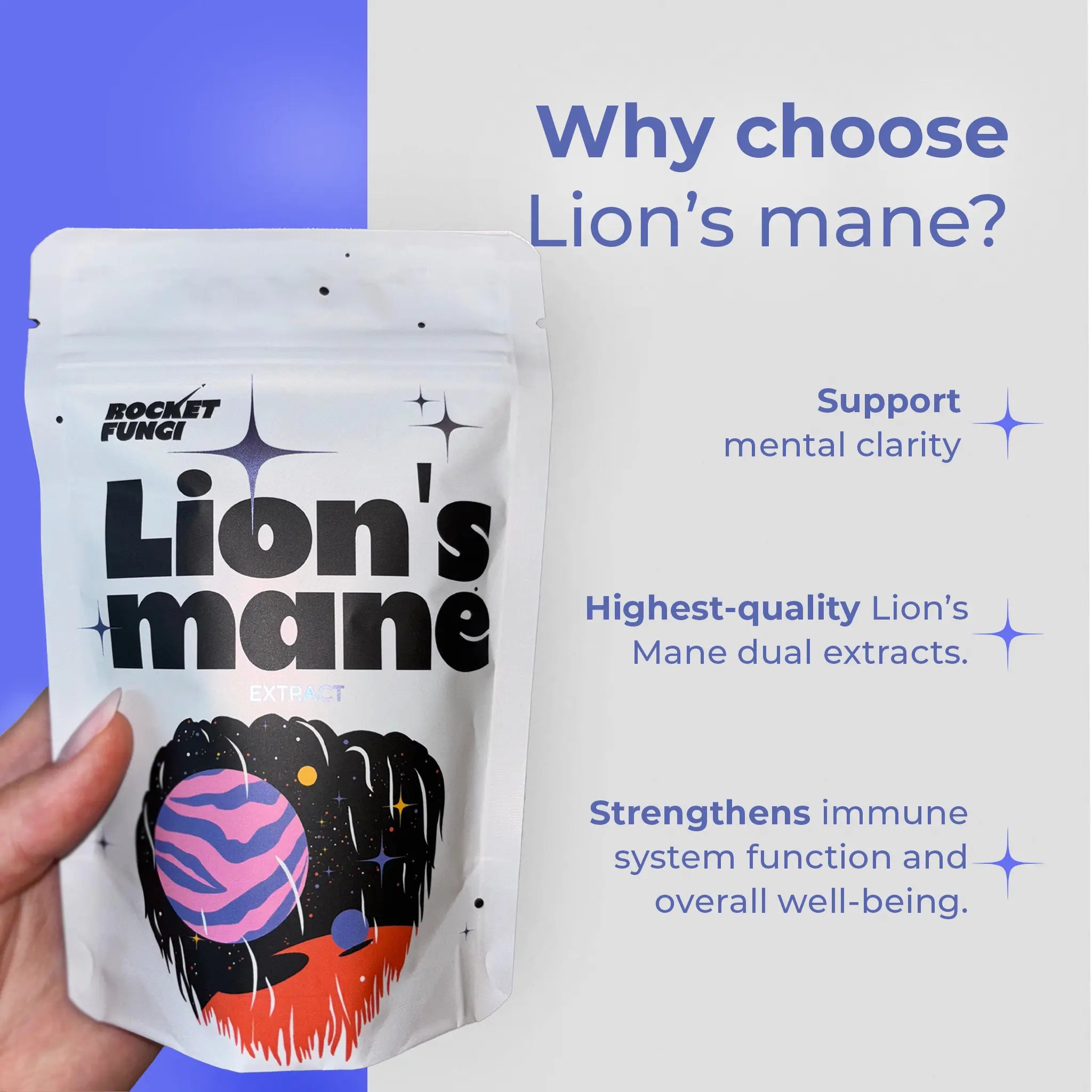 Lion's Mane | Focus Fuel My Store